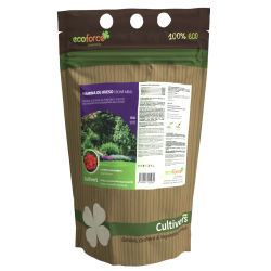 CULTIVERS Harina de Hueso 1 kg. Abono Plantas Ecológico. Aporta Fósforo y Calcio a los Cultivos. Fertilizante 100% Natural