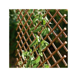 Celosía Extensible de Mimbre Suelosport para Jardín | Enrejado Natural para Plantas Trepadoras | 1 x 2 metros | Enrejado extensible de mimbre