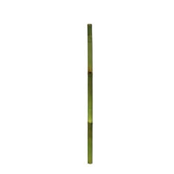 Gerimport Palo de Bambú Verde 7 x 150 cm - Decoración Natural y Versátil para Arreglos Florales, Soportes de Plantas y Proyectos Creativos, Ideal para Interiores y Exteriores, Aporta Estilo y Frescura