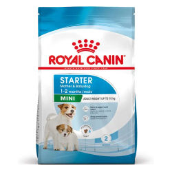 ROYAL CANIN STARTER MOTHER&BABY MINI PIENSO PARA PERROS 4Kg