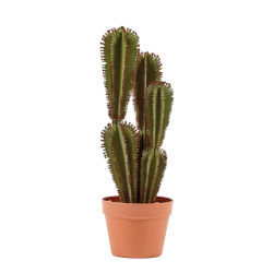 Nortene | Planta Artificial Cactus Euphorbia Suzannae 57,5 Cm Nortene | Ideal Para Decoración | Planta Artificial Grande Y Realista | Aporta Un Toque Natural A Tu Hogar