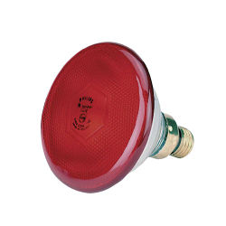 KERBL Bombilla Reforzada Philips 175 W, Roja