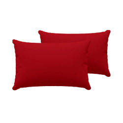 2 Fundas de Almohada para Almohada de 70cm 80cm 90cm 105cm 135cm y 150cm 100% Microfibra Paquete de 2, Fundas de Cojín con Cierre de Cremallera, Extra Suaves
