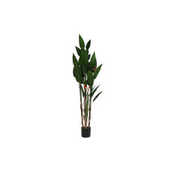 Planta Poliester Pp 90X90X200 Ave De Paraiso Verde El mejor complemento para tu hogar -Fijalo