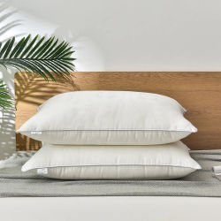 Almohadas de seda de morera para dormir, 48x74cm, relleno de seda Natural, Jacquard, antiácaros, ropa de cama suave para el cuidado de la salud, almohadas para el cuello del Hotel