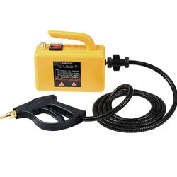 Limpiador a vapor de alta temperatura para capó, máquina de limpieza móvil para coche, desinfectante