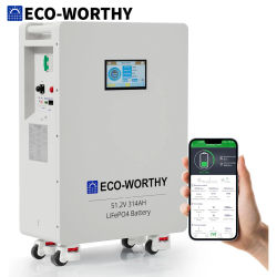 ECO-WORTHY Batería LiFePO4 de 48V 314Ah, 16,1 kWh, Almacenamiento de Energía y Interruptores de Potencia de 200A, PACE BMS RS485/CAN/RS232 con Bluetooth