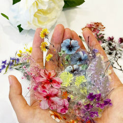 50 Uds. De pegatinas de plantas y flores, tienda de campaña de mano, etiquetas de palo DIY, Material para álbum de recortes, suministros para diario, pegatina transparente de flores para mascotas