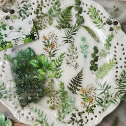 JIANQI 40 Uds pegatinas de flores de plantas naturales DIY álbum de recortes Material PET manual taza de agua planta pegatina transparente