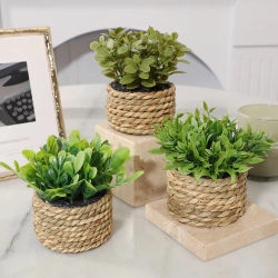 Planta Artificial Verde en Maceta de 11 cm, Plantas Artificiales Tejidas, Hoja de Plástico, Eucalipto, Decoraciones Artificiales para el Hogar