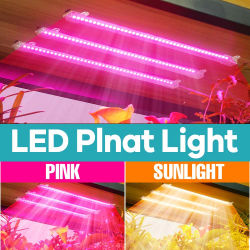 Tira de luz LED para cultivo de plantas, lámparas de espectro completo USB para cultivo hidropónico, barra Phyto, lámpara de relleno para crecimiento de flores, suculentas, vegetales, 220V