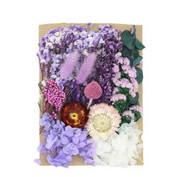 Set de Plantas Naturales Preservadas, Flores Reales, Material de Resina Epoxi, Velas Artesanales, Materiales Florales para Manualidades, Hortensias, Decoración de Bodas