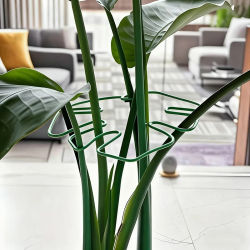 Marco de soporte para plantas Monstera grande, vástagos trepadores resistentes, estabilizador de hojas para uso en exteriores, soporte para plantas colgantes altas, 1 ud.