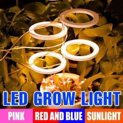 Luz LED de cultivo de plantas DC5V, espectro completo, semillas de flores de interior, caja de crecimiento de vegetales hidropónicos, lámpara de cultivo, temporizador regulable USB
