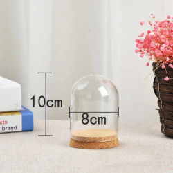 Cubierta de cúpula de vidrio para plantas suculentas, funda DIY a prueba de polvo, botella transparente, florero de cristal, suministros de decoración del hogar de escritorio
