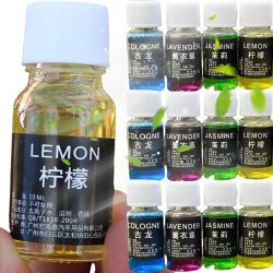 Ambientador de aire de repuesto de Perfume para coche, difusor de Aroma de aceite esencial de planta Natural, humidificador de fragancia, ambientador de aceite esencial, 10ml