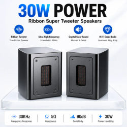 5Ohm nueva fiebre cinta independiente Super Tweeter externo Tweeter altavoz pasivo caja de sonido 30W extensión