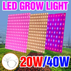 Luz LED para plantas de interior, Panel de cultivo LED de espectro completo, lámpara Phyto para cultivo, plantar plántulas de flores, caja de cultivo hidropónico