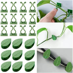 Soporte de tracción para plantas y vid, Clips invisibles para fijación de pared trepadora, gancho autoadhesivo para interiores y exteriores, trenzado o fijo