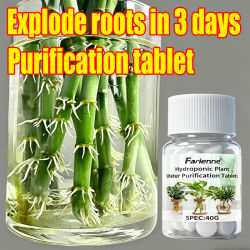 Farienne 100 tabletas de purificación de agua para plantas hidropónicas 40G - Potenciador de raíces para Bambú de la Suerte y conservación de flores cortadas