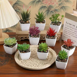 Mini taza de hadas suculenta Artificial, planta pequeña en maceta, plantas suculentas artificiales en maceta, surtido de Cactus falso suculento
