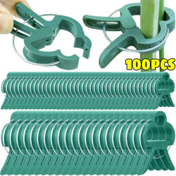 Clips fijos para plantas, soporte de invernadero reutilizable para fijar tallos de flores, vid, verduras, tomates, sujetador, suministros de jardín