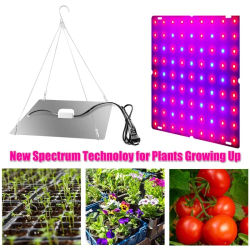 Lámpara LED para Cultivo de Plantas, 1000W/2000W, Espectro Completo, Lámpara Hidropónica, 81/169 LED, Rojo, Azul, Blanco, Interior, Vegetales, Flores, Ultradelgada, Fitolámpara