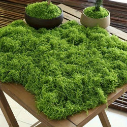 30/50/100g planta de musgo Artificial verde musgo falso manualidades DIY hierba para decoración de la habitación del hogar jardín decoración de boda adorno al aire libre