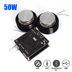 1 Juego de altavoz de vibración HIFI 50W 2,0 altavoz de Audio estéreo portátil Bluetooth 5,0 sistema amplificador Clase D DIY Home Theater