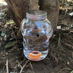 Dispositivo de riego automático de flores, 4 Uds., goteo de agua para plantas, riego doméstico, plantas en macetas para interiores y exteriores, autorriego