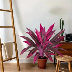 1/2/3 Uds. Plantas verdes artificiales de sangre de dragón de bambú grandes, arbustos falsos para exteriores, boda, jardín, decoración de verano y otoño