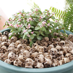 Mini figura de calavera coleccionable de 20 piezas, cabezas de calaveras en miniatura para Halloween, Festival creativo, paisaje temático, jardín, decoración de plantas en maceta