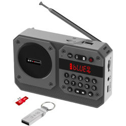 Mini Radio FM portátil, receptor de Radios de alta sensibilidad, altavoz inalámbrico Hifi Bluetooth con micrófono, compatible con grabación, reproducción USB TF