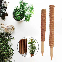 1 Pieza de 30/50cm, Poste de Coco para Plantas Trepadoras, Soporte Seguro para Jardinería, Varilla de Coco para Plantas Trepadoras, Enredaderas y Cimbreantes