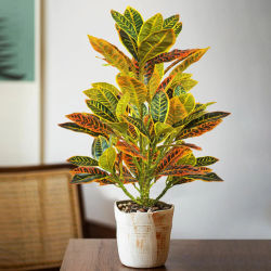 Plantas Artificiales de 24-41 cm, Árbol de Ficus Artificial, Ramas de Codiaeum Tropical, Planta de Magnolia de Plástico, Adecuada para Decoración del Hogar y la Oficina
