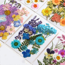 Flores secas, planta Natural Real, flor prensada para relleno de resina epoxi, manualidades para decoración de uñas, artesanía para hacer joyas