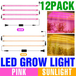 Luces LED para cultivo de plantas, lámpara de cultivo hidropónico de espectro completo para interiores, caja de crecimiento de plántulas de vegetales y flores suculentas, 220V