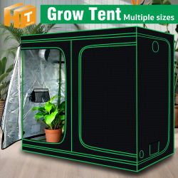 Carpa de Cultivo para Plantas 240x120x cm 200 Oxford 240x240x cm con Ventiladores de Conducto y Aberturas para Invernadero, Jardín, Plantas y Siembra