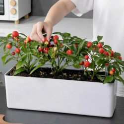 Maceta Grande Rectangular con Autorriego para Interiores y Exteriores, Contenedor Decorativo para Plantas con Indicador de Agua para Patio y Sala de Estar