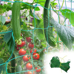 1 unidad de red de nailon para jardín, para plantas trepadoras, malla de poliéster resistente para tomate y uvas