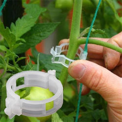 100 clips para fijar plantas, dispositivos para colgar plantas, clips para injertar, clips para plantas de tomate, clips para atar plantas de pepino