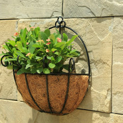 Cesta colgante, maceta, palma de coco, colgante de pared pastoral, planta suculenta, hiedra verde, lavabo colgante