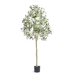 SucceBuy Olivo Artificial de 5/6 pies de alto, planta sintética, árbol en maceta falso verde realista para decoración de almacén de oficina en casa, interior