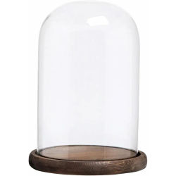 Campana de cristal con base de madera rústica, exhibición de cúpula de vidrio decorativa transparente de 10 pulgadas de alto para plantas, Curios, recuerdos, arreglos