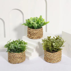Planta en maceta Artificial verde, hierba de eucalipto tejida, plantas en macetas simuladas, hoja de plástico, decoraciones artificiales de 11cm, decoración del hogar