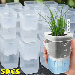 Macetas Transparentes de Autorriego (5/1 Piezas), Macetas con Mecha de Algodón Absorbente Automática, Macetas para Plantas, Plántulas, Flores, Viveros