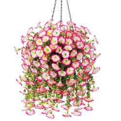 1/10 Uds. Flores artificiales colgantes de gloria matutina, flores falsas para exteriores, hogar, jardín, plantas de Petunias colgantes de pared, decoración de boda