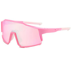 2025 gafas de ciclismo hombre bicicleta de montaña deporte ciclismo gafas de sol MTB ciclismo gafas mujeres UV400 Saposhnikovia Divaricata
