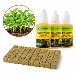 Estimulador Líquido de Raíces, Fórmula Nutritiva para Plantas y Cubos de Inicio de Lana de Roca para Herramienta de Propagación de Semillas y Esquejes Hidropónicos