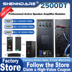 Módulo amplificador de altavoz activo profesional ShennDare 2500DT Clase D, 1x1500W, 8 ohmios, placa amplificadora de subwoofer, preamplificador de altavoz, 1x2500W, 4 ohmios, 1500DT, 1x1000W, 8